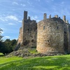 Image 10: Full-Day Trip: Sands and Castles of East Lothian from Edinburgh