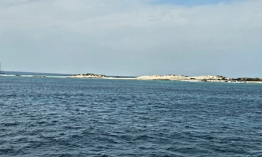 Image 45: Excursión de un día a Illetas en Formentera con Paella y Bebida