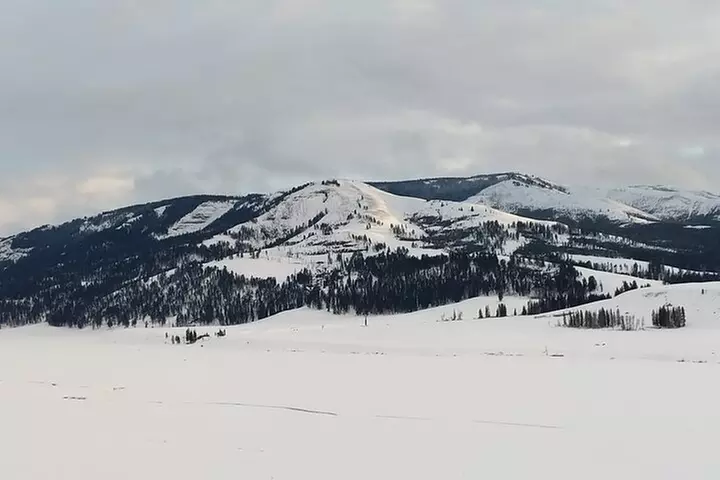 Yellowstone PRIVATE Winter SAFARI and Wolf Watching