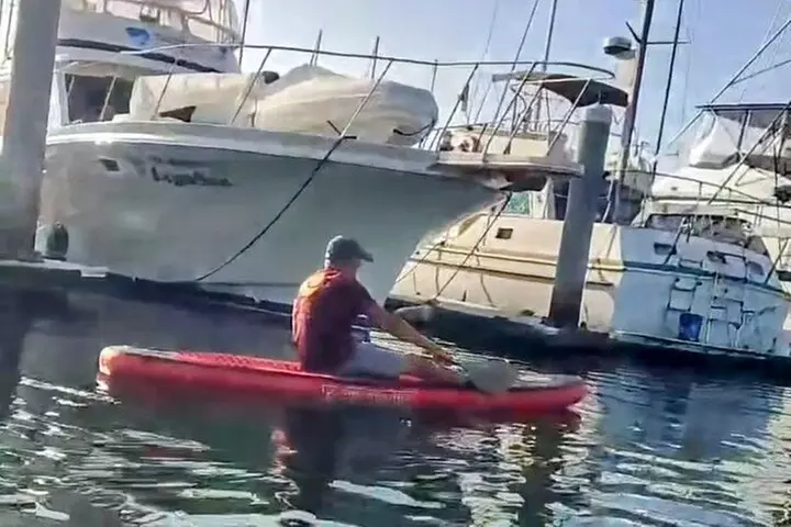 Paddle Board Picnics Lessons Rentals and Outdoor Adventures