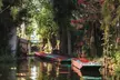 Xochimilco 5 Hour Boat Ride and UNAM University Tour - Second Medium