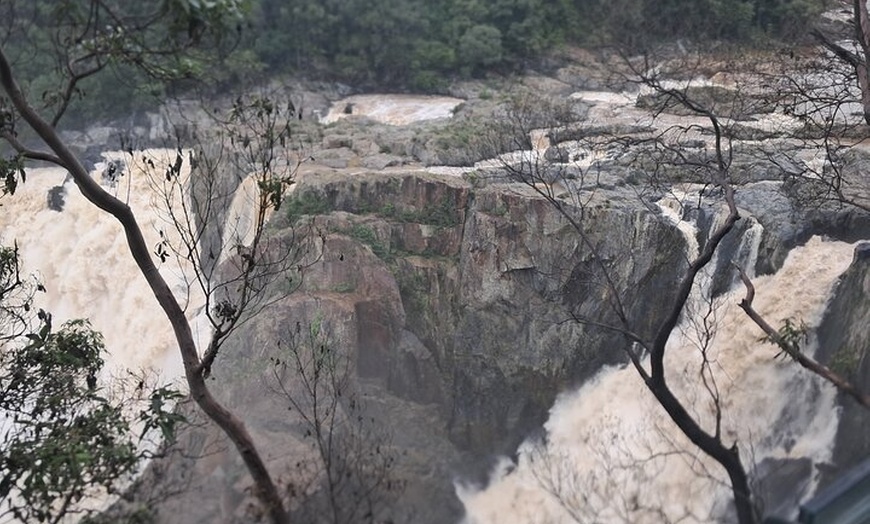 Image 9: Cairns Small-Group Kuranda Tour: Skyrail & Scenic Railway