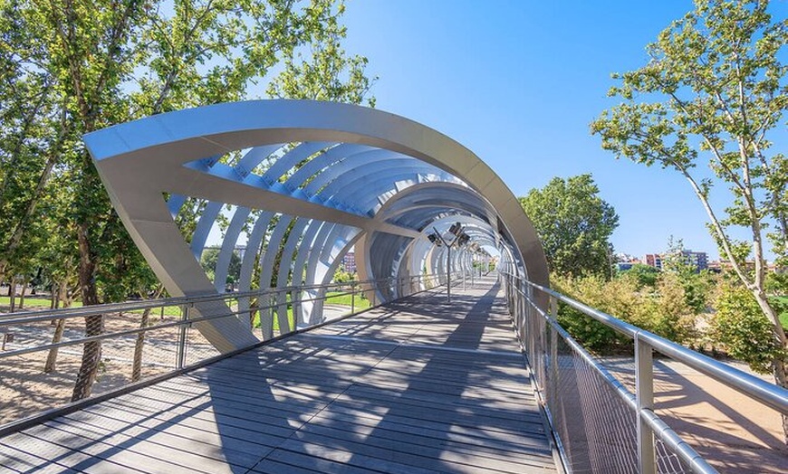 Image 8: Visita guiada privada a pie por Madrid