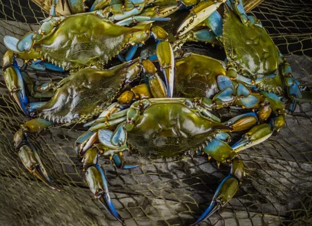 $25 For $50 Toward Crabs