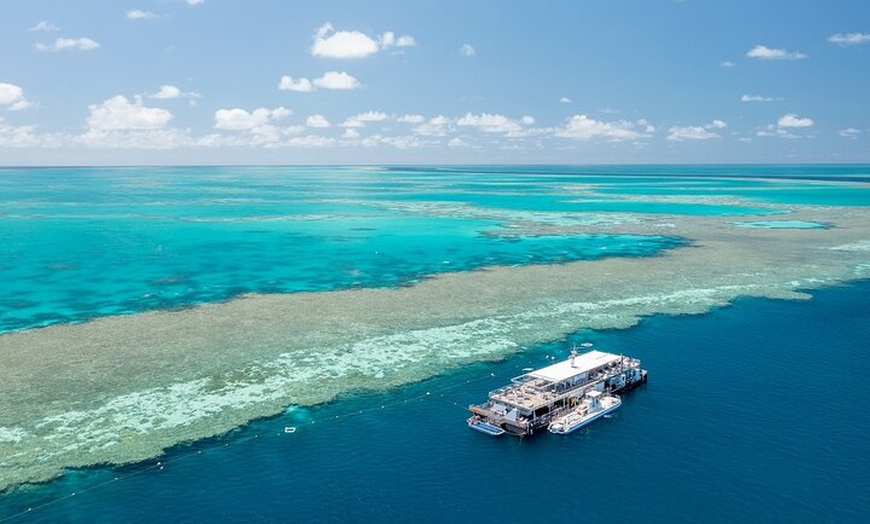 Image 9: Great Barrier Reef Full Day Adventure