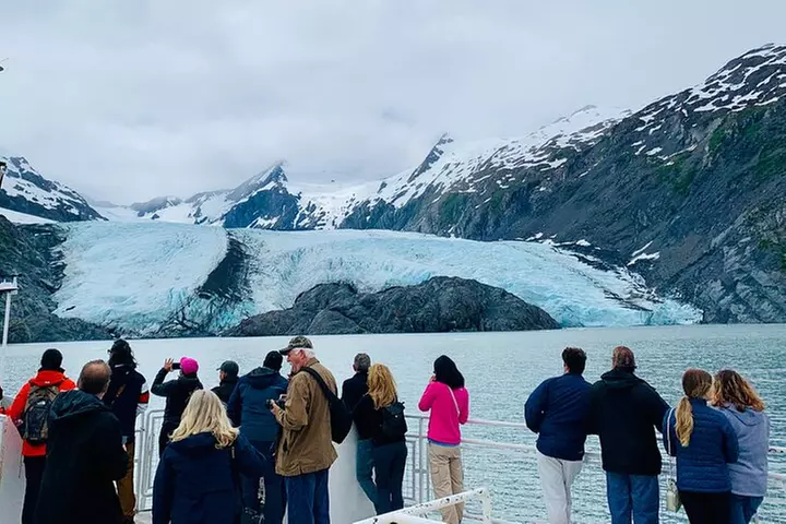 Valley of Glaciers Experience with Portage Glacier Cruise and Wildl...