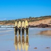 Image 1: Learn to Surf at Anglesea on the Great Ocean Road