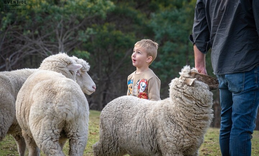 Image 3: Eventide Sanctuary Farm Tours and Richmond Old Town