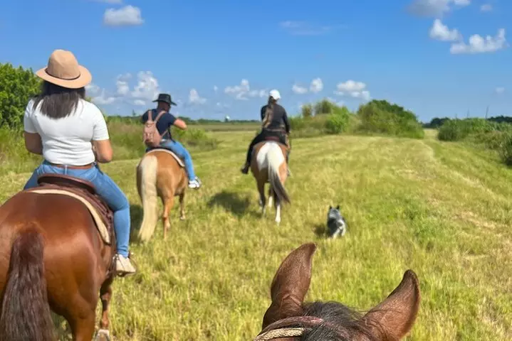 Horseback Riding in Miami