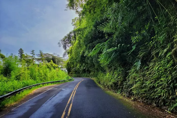 Private East Maui Hiking Experience