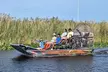 Everglades Florida Airboat Tour - Second Medium