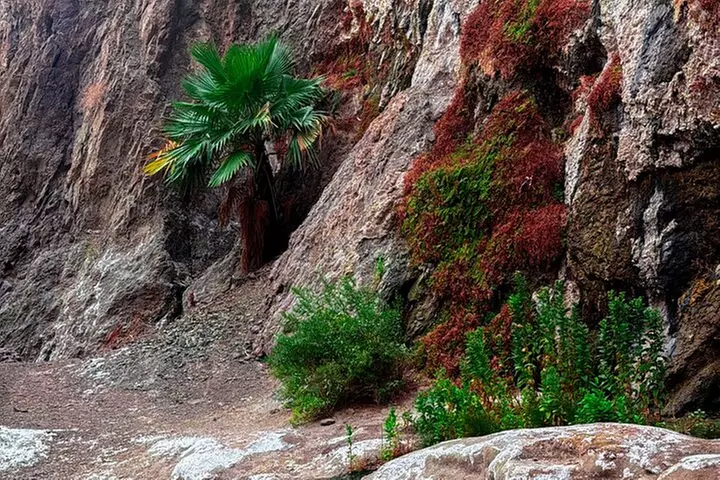 Goldstrike Hot Springs and 124 Degree Magma Heated Waterfall Hike
