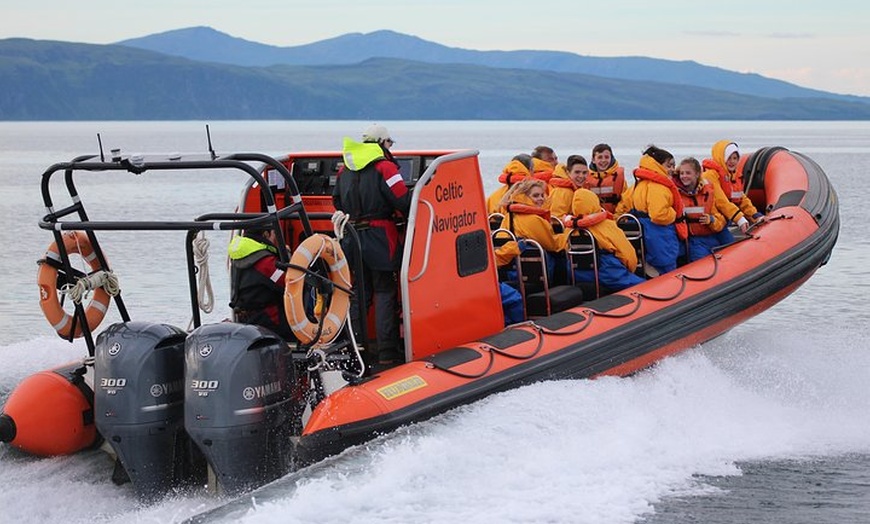 Image 4: Marine Wildlife Tour through Gulf of Corryvreckan