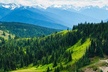 Small Group Olympic National Park Day Tour from Seattle 2CanGo - Second Medium