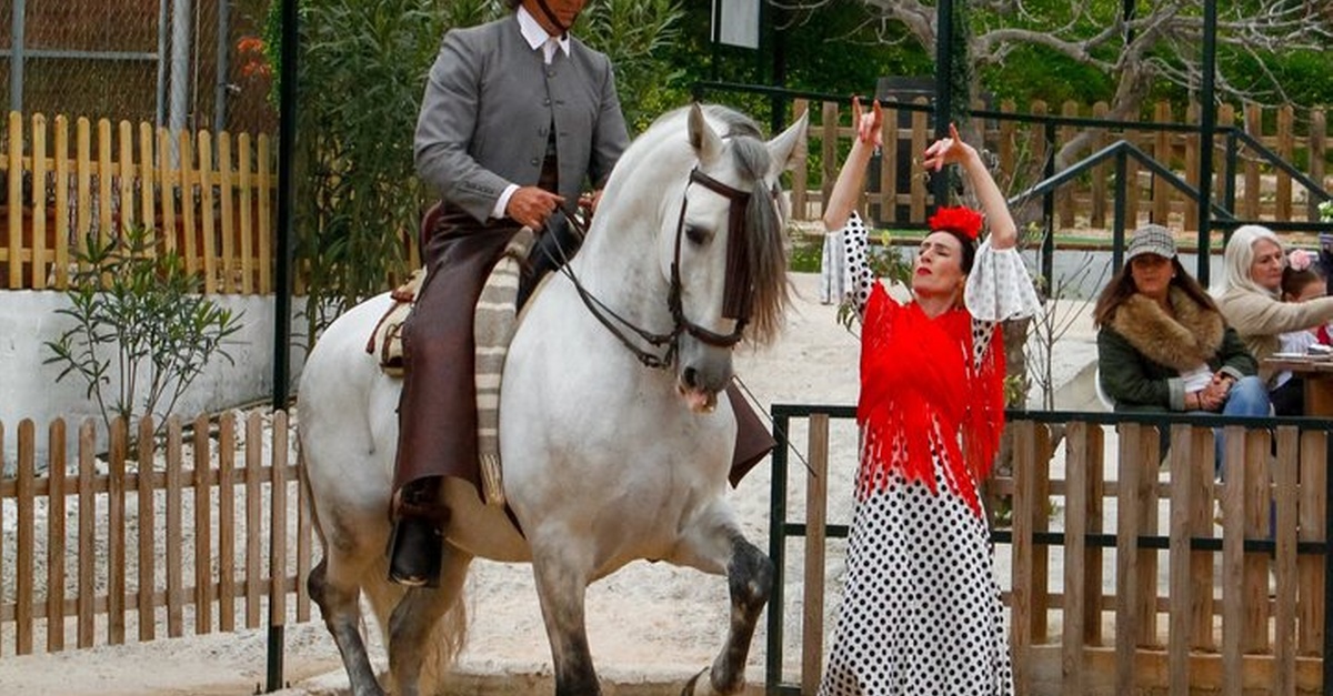 Experiencia de cena con caballos españoles y fusión flamenca en Málaga