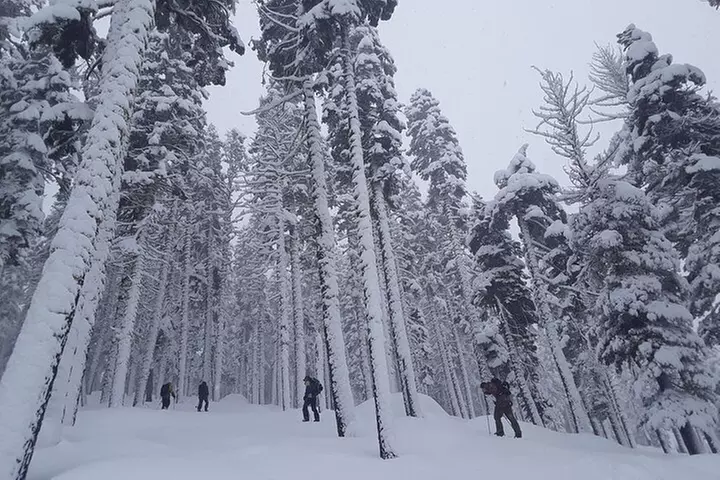 Lake Tahoe: Sunset Snowshoe Trek with Hot Drinks and Snacks