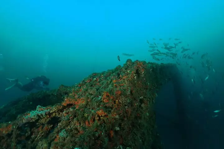 Wreck and Bridge Span Dive for Certified Divers