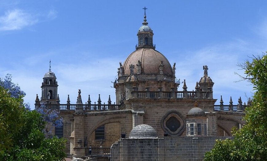 Image 5: Desde Sevilla : Excursión privada de un día a Jerez & Cádiz