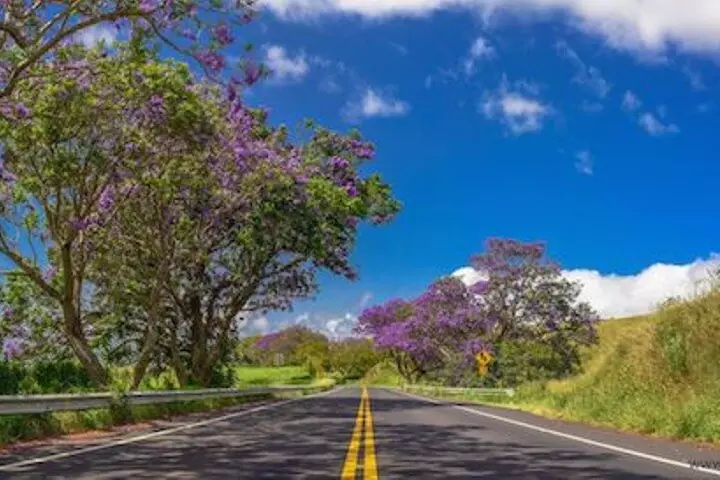 Best Haleakala Downhill Self-Guided Bike Tour with Maui Sunriders
