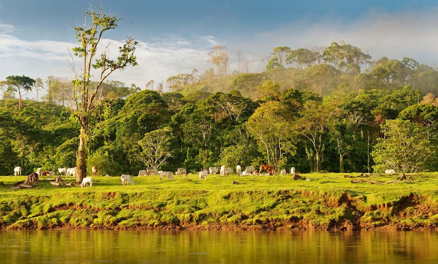Image 17: ✈ COSTA RICA | San José - Fuga verde in Costa Rica - Viaggio on the...