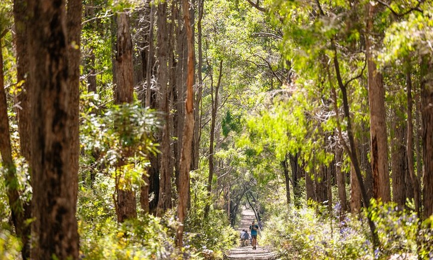 Image 6: Half Day Wadandi Track Scenic E-Bike Tour
