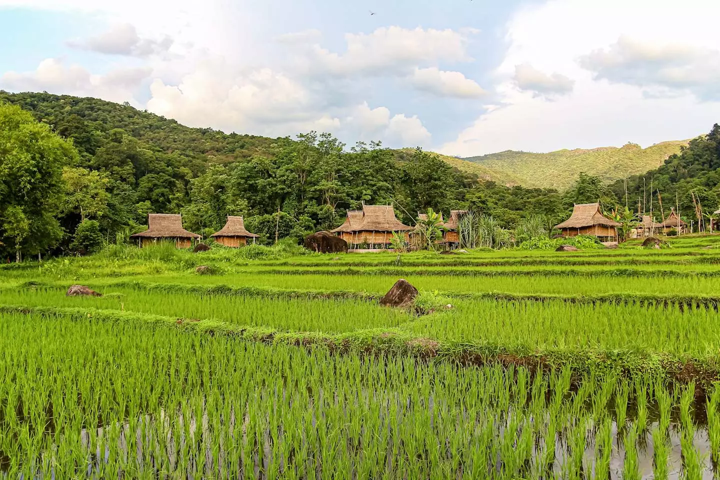 ✈ LAOS | Luang Prabang - Entdecken Sie das wilde, spirituelle und a...
