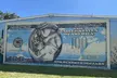 Private St. Petersburg Mural and Street Art Tour by Golf Cart - Second Medium