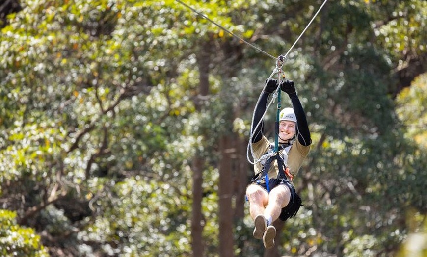 Image 14: Treetop Challenge Adrenaline Pass