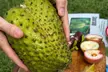 Exotic Fruit Tasting Tour in Kona - Second Medium