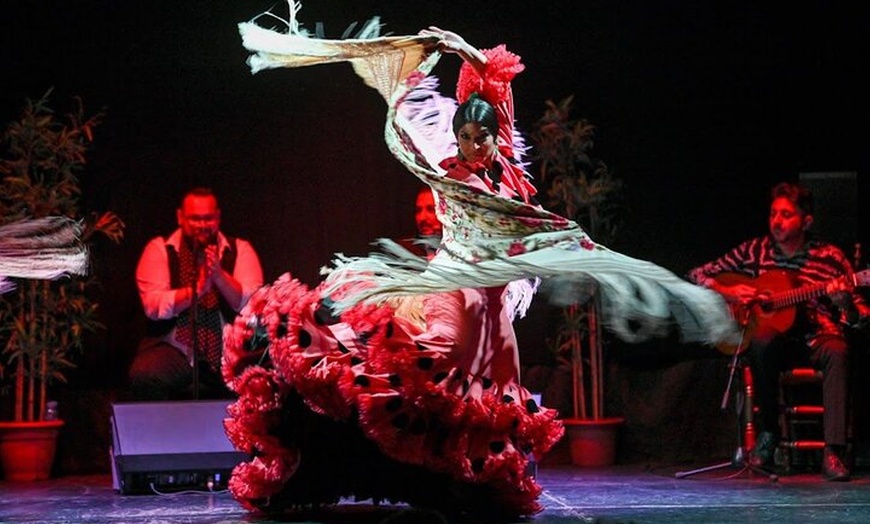 Image 3: Entrada al espectáculo flamenco en el Teatro Ayuntamiento de Barcelona