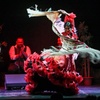 Image 3: Entrada al espectáculo flamenco en el Teatro Ayuntamiento de Barcelona