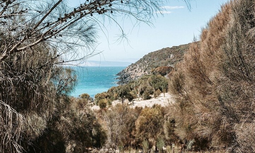 Image 4: Kangaroo Island Ultimate Adventure Tour departing Penneshaw