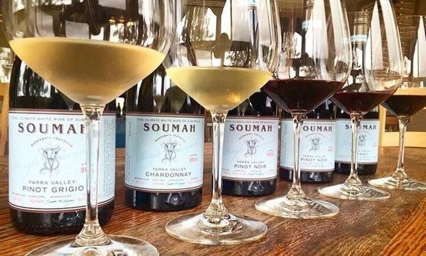 Image 3: Small Group Yarra Valley: Redwoods Forest & Premium Wine Tour