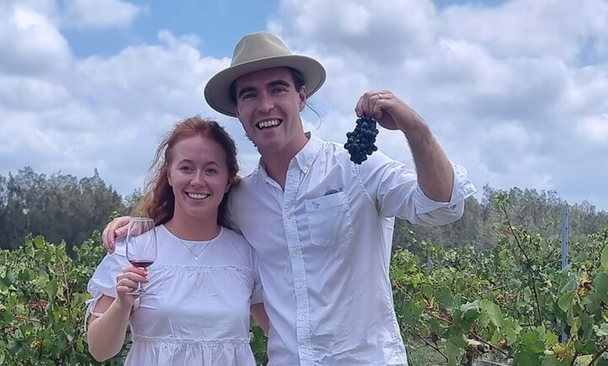 Image 8: Hunter Valley Wine and Cheese Tasting Day Tour from Sydney