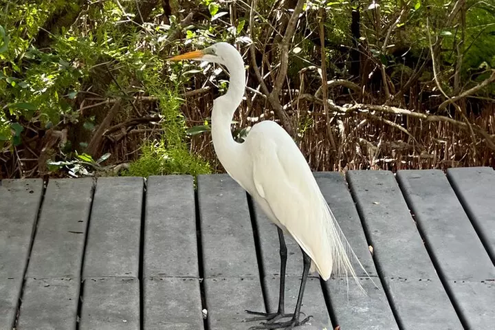 Private Full-Day Tour of Florida Keys from Miami/FLL to Key West