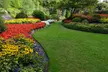 $80 For 1 Month of Mow, Edging, & Weed Whacking (Reg $160.) - Second Medium