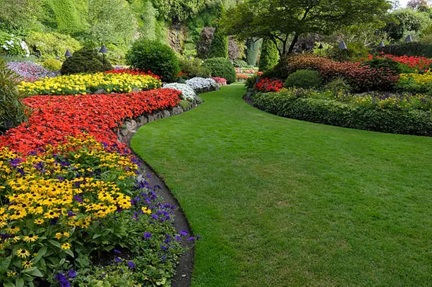 $80 For 1 Month of Mow, Edging, & Weed Whacking (Reg $160.)