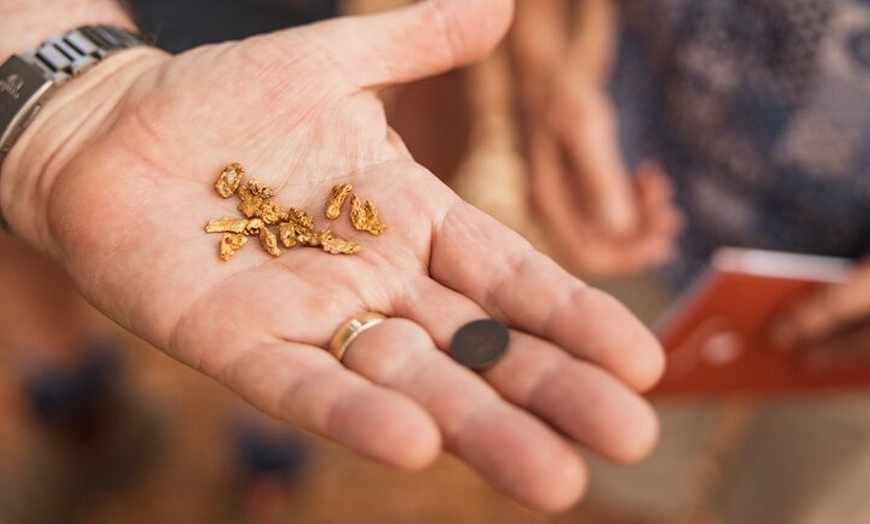 Image 7: City of Perth Tour