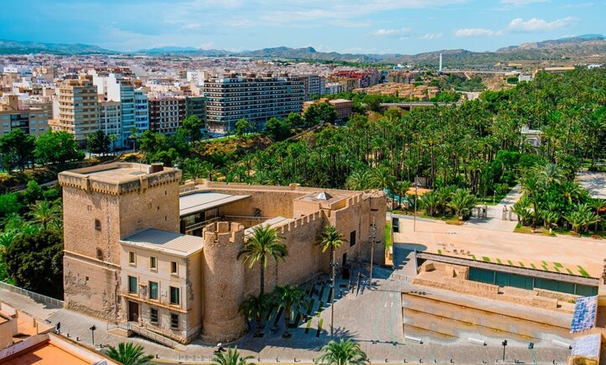 Image 3: Excursión privada de medio día a Elche desde Alicante