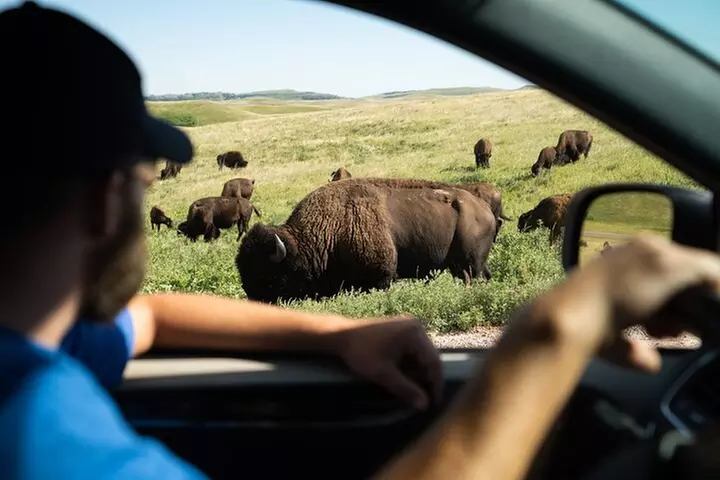 Yellowstone National Park Self-Guided Driving Audio Tour