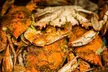 $25 For $50 Worth Of Crabs - Second Medium