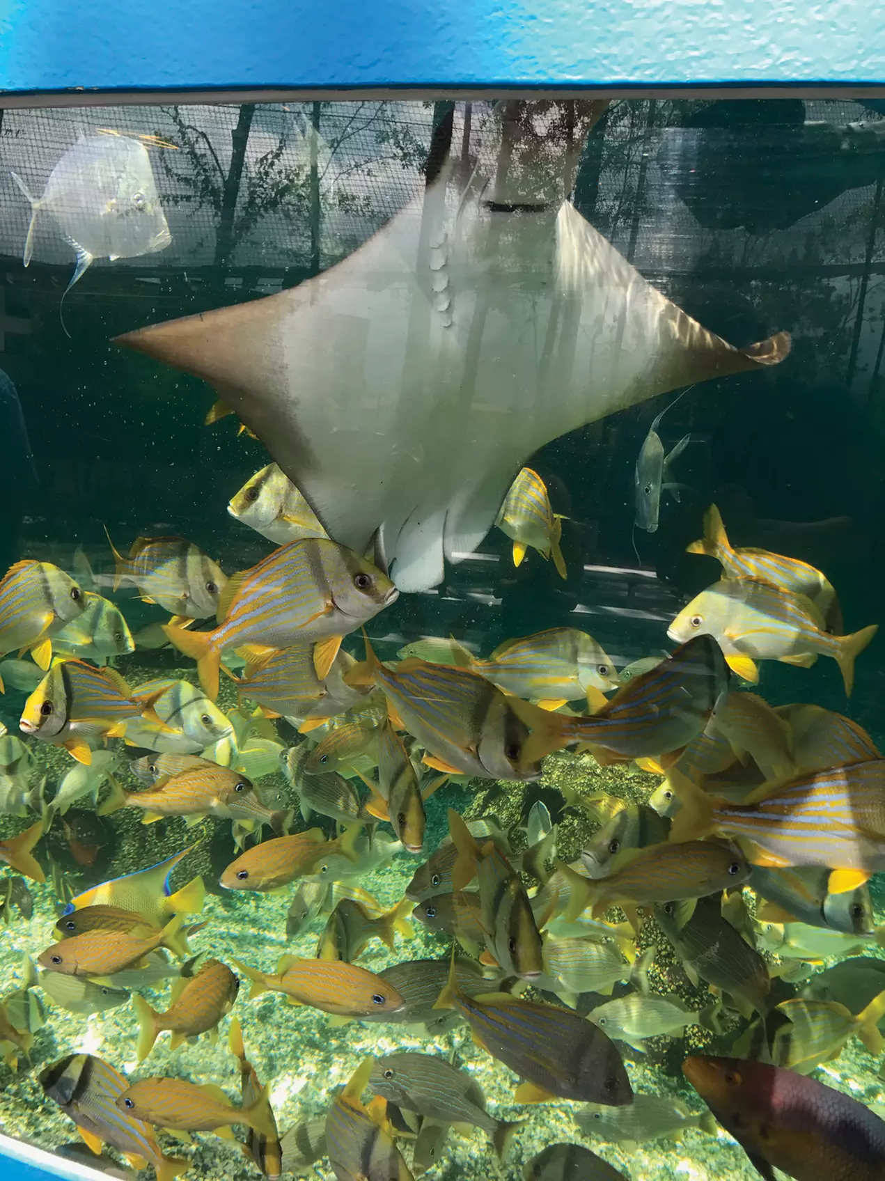 $29.98 For Admission For 4 People (Reg. $59.96) - Primary Image