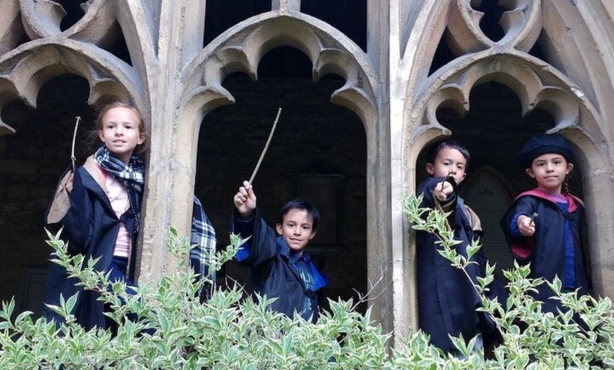 Image 5: Harry Potter PUBLIC tour with entry inside New College included