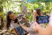 Currumbin Wildlife Sanctuary & Burleigh Heads Private Tours - Image 2