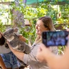 Image 2: Currumbin Wildlife Sanctuary & Burleigh Heads Private Tours