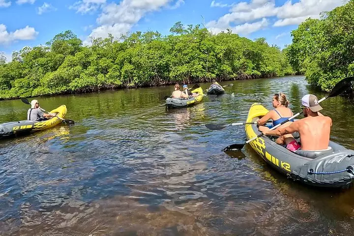 Fort Lauderdale: Kayak/SUP on Mangroves w/ Snacks & Drinks