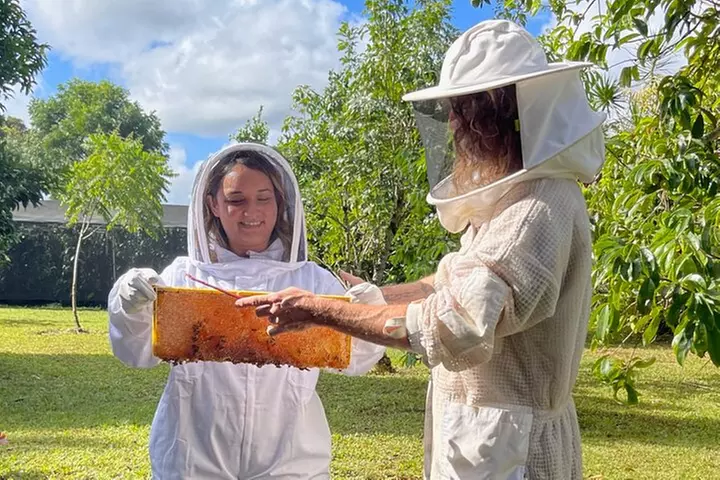 Inside the Hive: Kauai Honey and Bee Tour