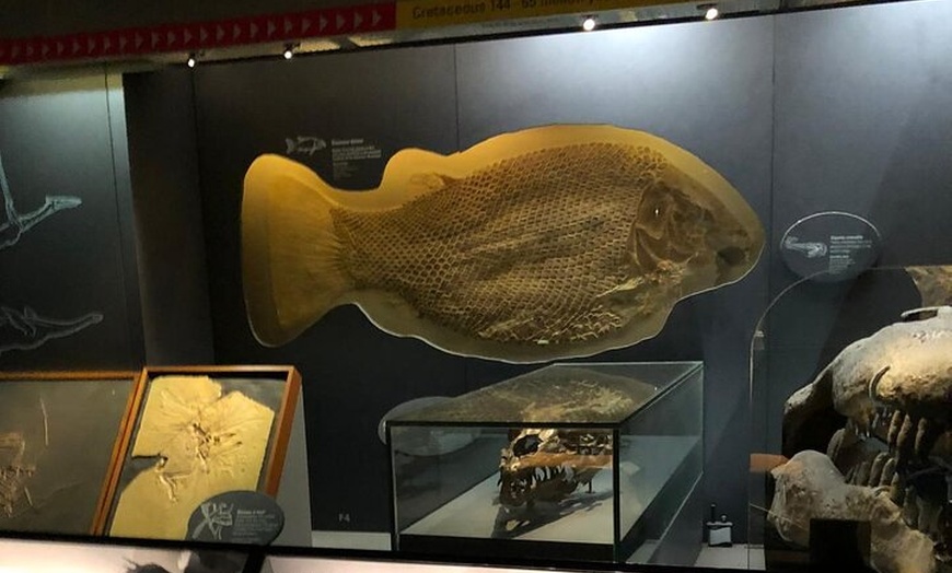 Image 48: Luxury Private Tour in London