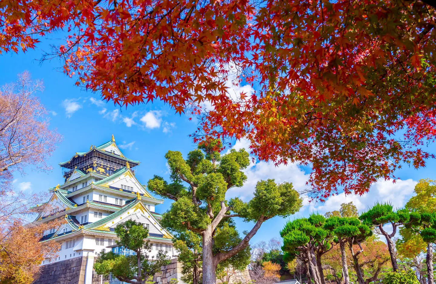 ✈ KANSAI | Osaka - Erlebnisreise Osaka – Kyoto – Nara 3*, 6 Nächte ...