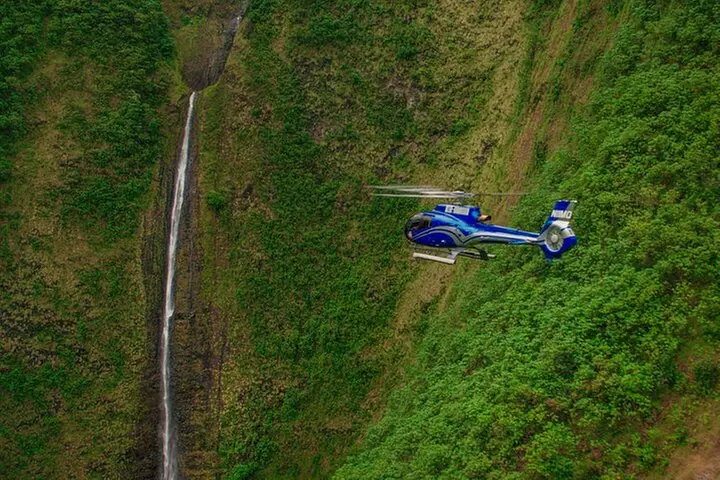 Kohala Waterfalls & Valleys Helicopter Tour